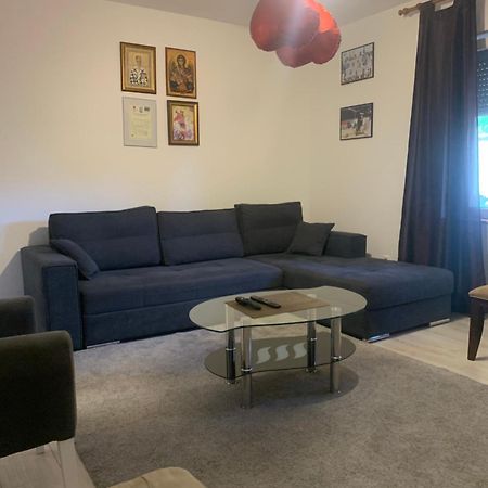 Mika'S Poolhouse Villa Beograd Eksteriør bilde